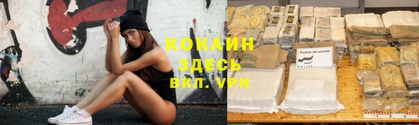 ПСИЛОЦИБИНОВЫЕ ГРИБЫ Арсеньев