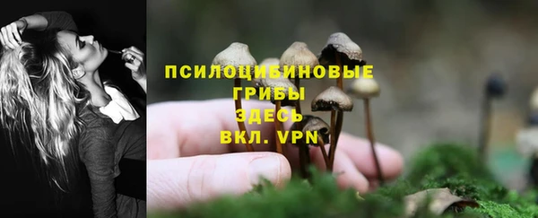 ALPHA-PVP Алексин