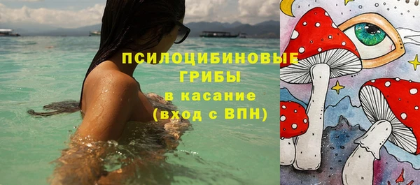 бошки Няндома