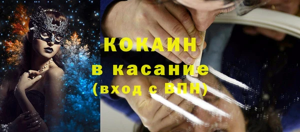 ПСИЛОЦИБИНОВЫЕ ГРИБЫ Арсеньев