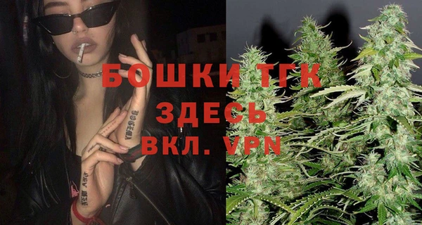 бошки Няндома