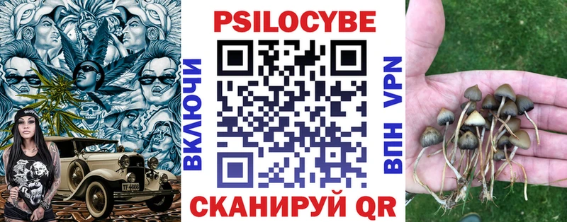 даркнет сайт  Вельск  Галлюциногенные грибы Psilocybe 